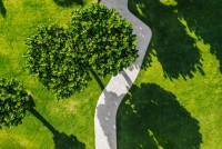 Aerial Garden