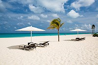 Beach Chairs