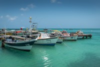 Seafood Boats